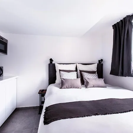 Dne Villa: Disney-paris House With Pool And 6 En-suite Bedrooms Villa Gournay-Sur-Marne